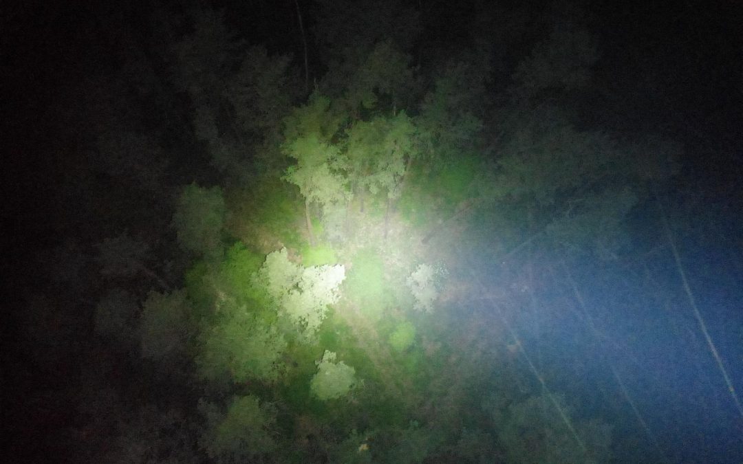 Einsatz von Suchscheinwerfern zur Wildtierdetektion bei Nacht